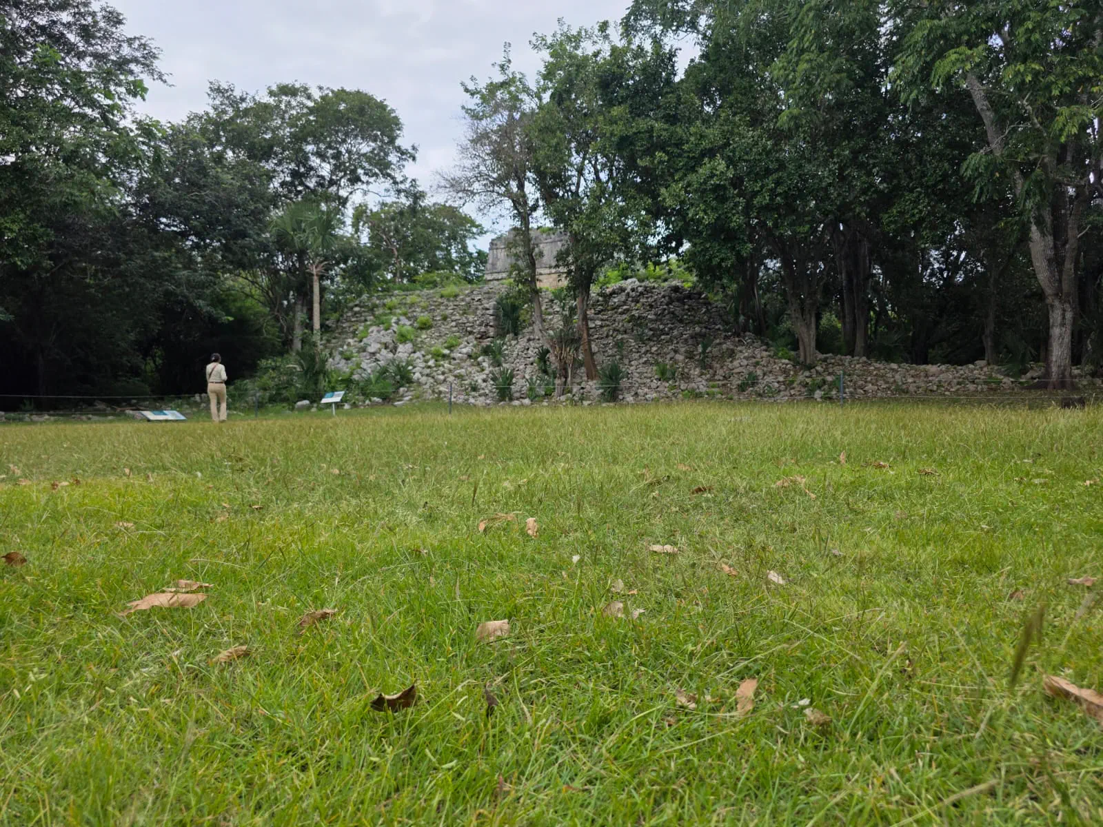 Cobá Tour